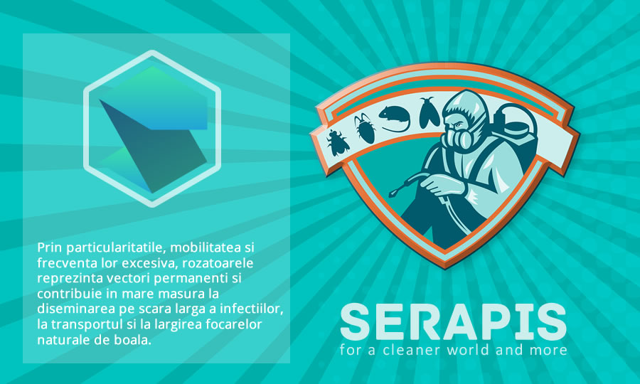 serapis2